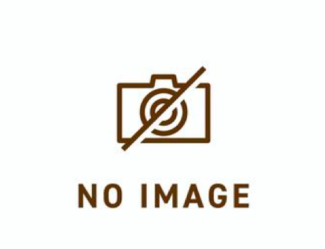 no-image